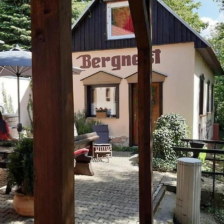 Bergnest Bungalow Bad Gottleuba Extérieur photo