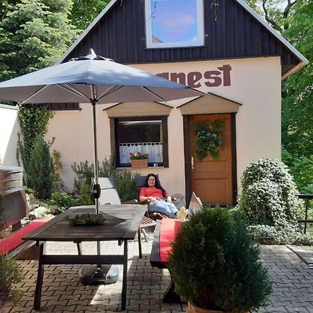 Bergnest Bungalow Bad Gottleuba Extérieur photo